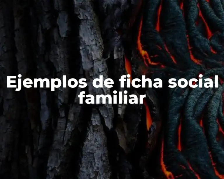Ejemplos de ficha social familiar