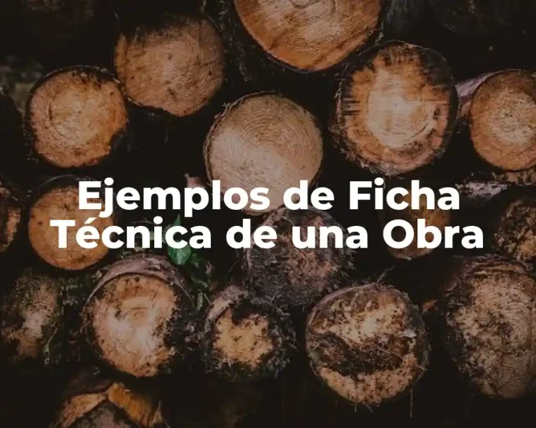 Ejemplos de Ficha Técnica de una Obra
