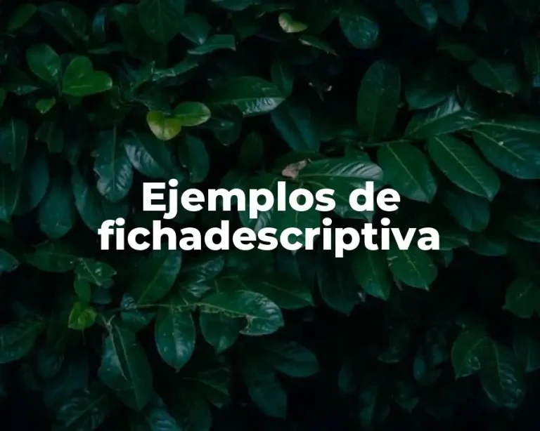 Ejemplos de fichadescriptiva