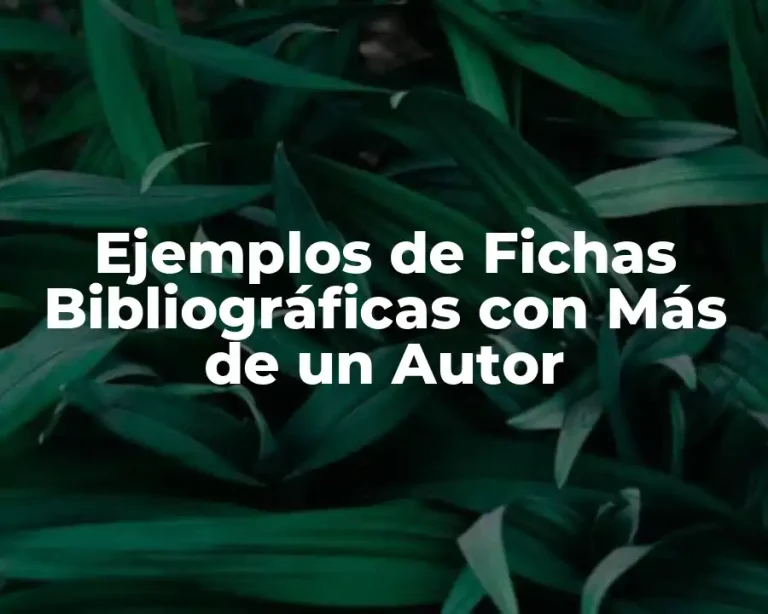 Ejemplos de Fichas Bibliográficas con Más de un Autor