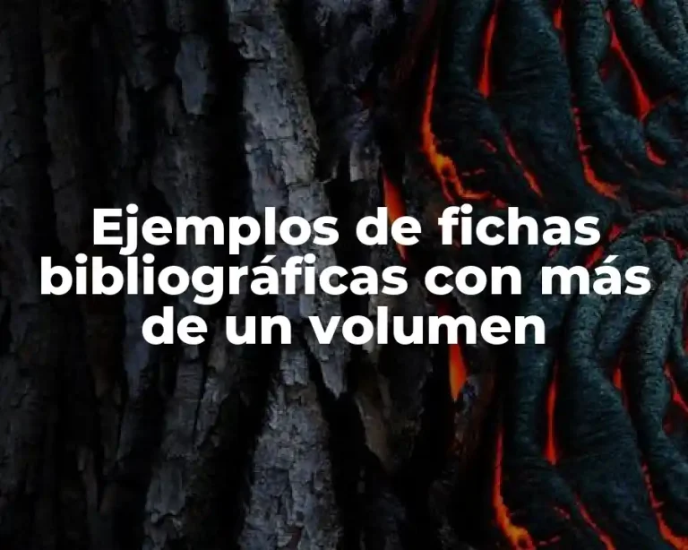 Ejemplos de fichas bibliográficas con más de un volumen