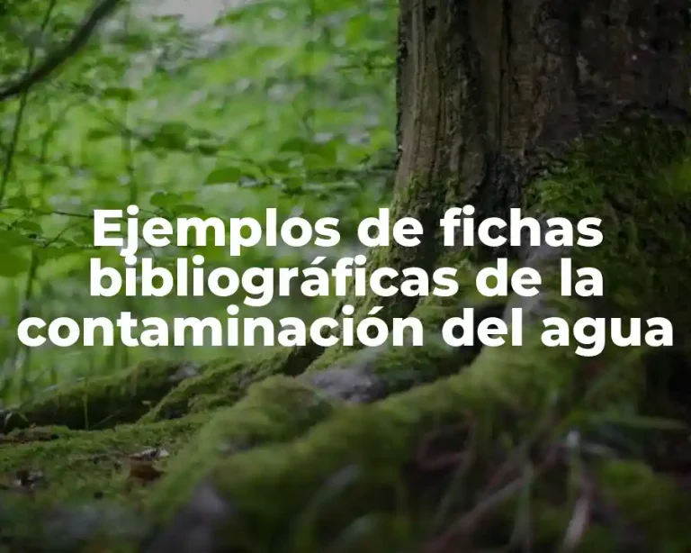Ejemplos de fichas bibliográficas de la contaminación del agua