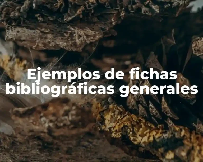 Ejemplos de fichas bibliográficas generales