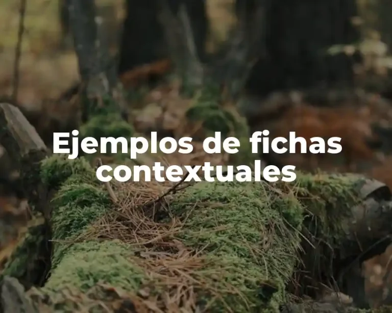 Ejemplos de fichas contextuales