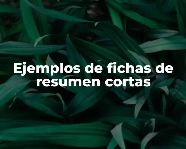 Ejemplos de fichas de resumen cortas
