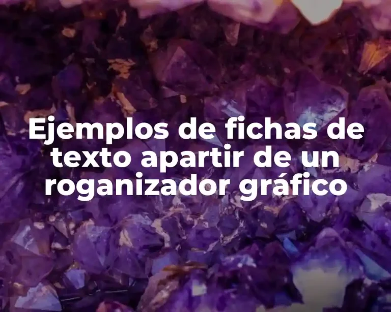 Ejemplos de fichas de texto apartir de un roganizador gráfico