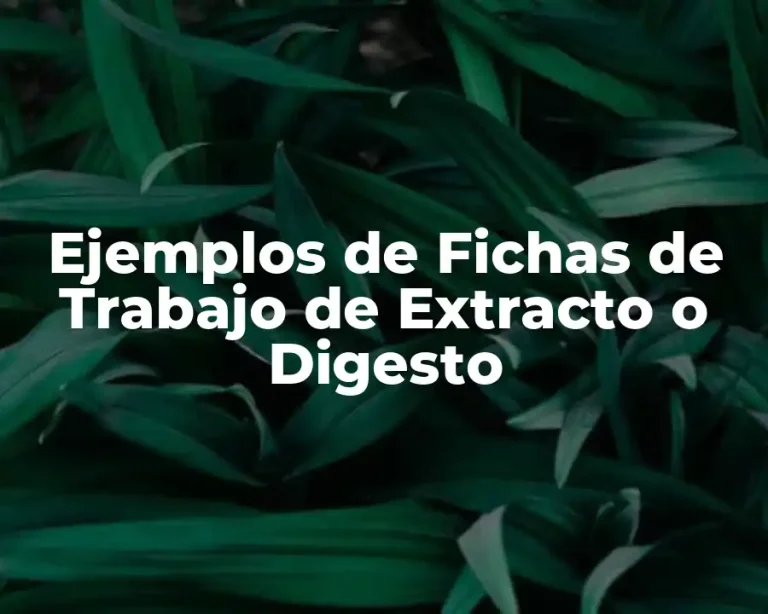 Ejemplos de Fichas de Trabajo de Extracto o Digesto