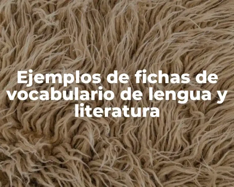 Ejemplos de fichas de vocabulario de lengua y literatura