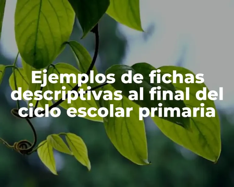 Ejemplos de fichas descriptivas al final del ciclo escolar primaria