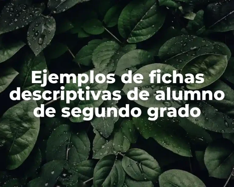Ejemplos de fichas descriptivas de alumno de segundo grado