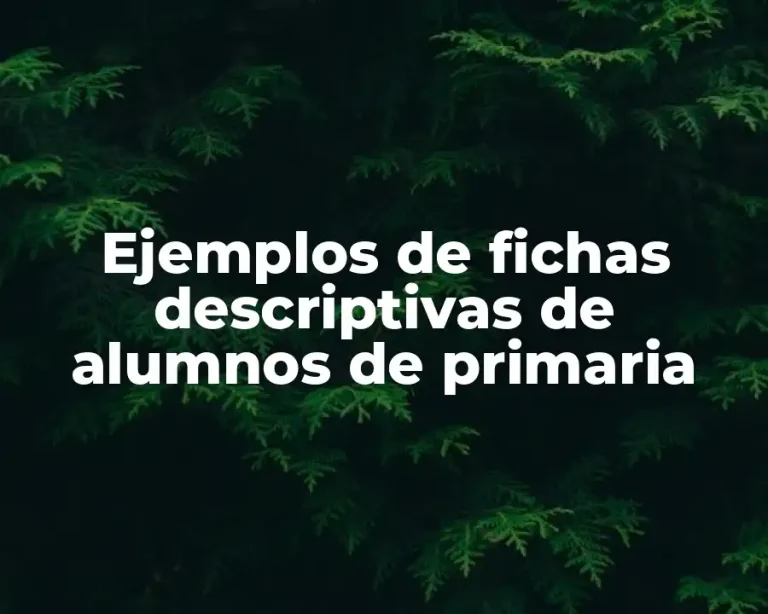 Ejemplos de fichas descriptivas de alumnos de primaria