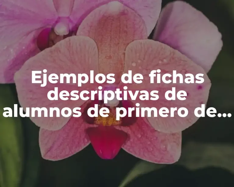 Ejemplos de fichas descriptivas de alumnos de primero de primaria