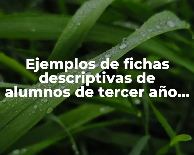 Ejemplos de fichas descriptivas de alumnos de tercer año de primaria