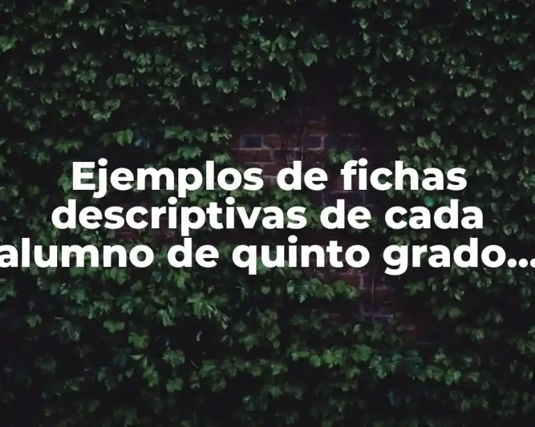 Ejemplos de fichas descriptivas de cada alumno de quinto grado y Significado