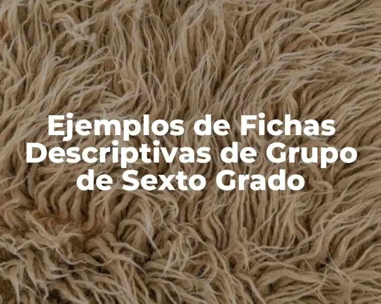 Ejemplos de Fichas Descriptivas de Grupo de Sexto Grado