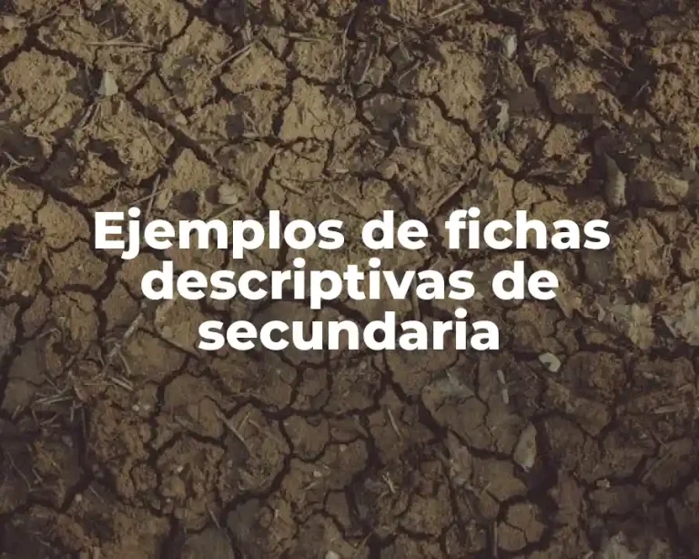 Ejemplos de fichas descriptivas de secundaria