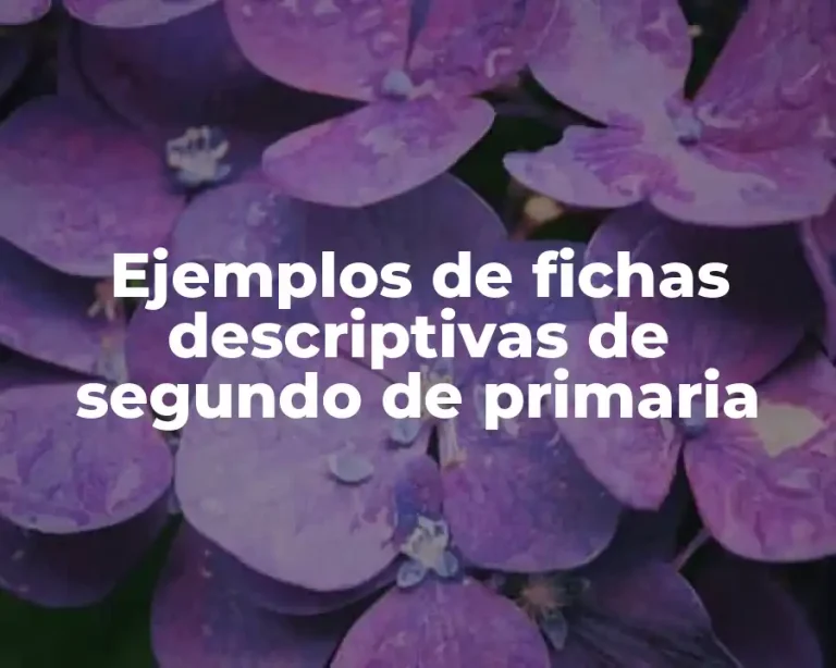 Ejemplos de fichas descriptivas de segundo de primaria