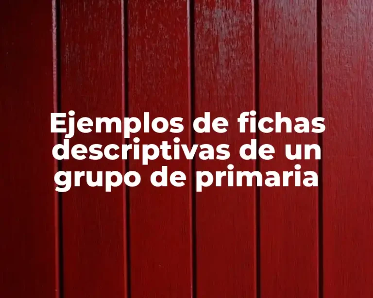 Ejemplos de fichas descriptivas de un grupo de primaria