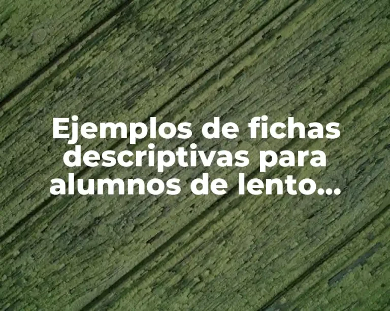 Ejemplos de fichas descriptivas para alumnos de lento aprendizaje y Significado