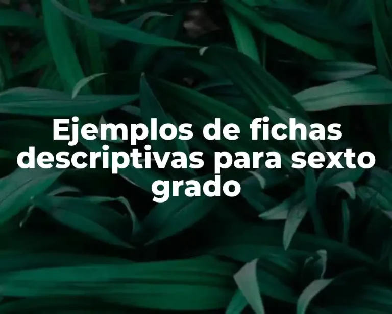 Ejemplos de fichas descriptivas para sexto grado
