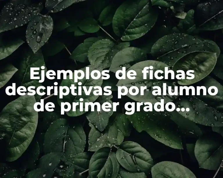 Ejemplos de fichas descriptivas por alumno de primer grado primaria