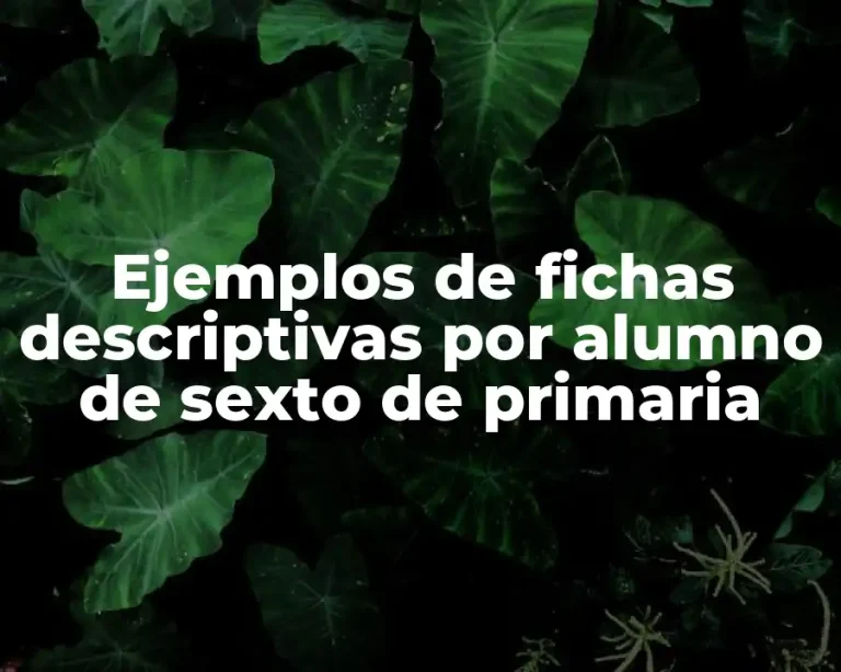 Ejemplos de fichas descriptivas por alumno de sexto de primaria