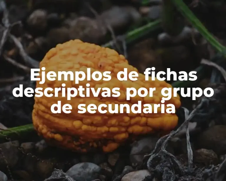 Ejemplos de fichas descriptivas por grupo de secundaria