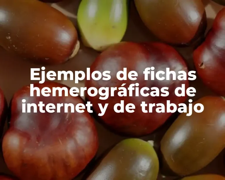 Ejemplos de fichas hemerográficas de internet y de trabajo