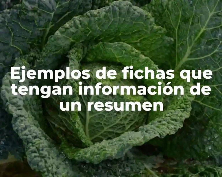 Ejemplos de fichas que tengan información de un resumen