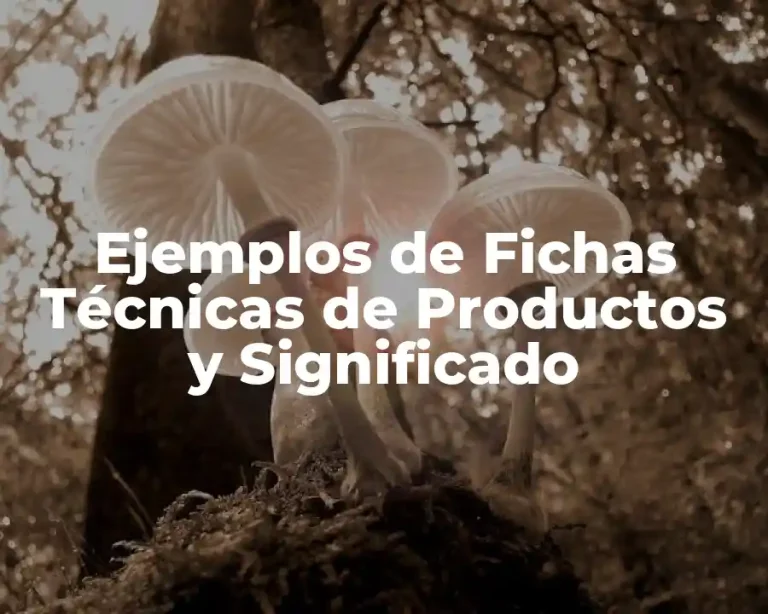 Ejemplos de Fichas Técnicas de Productos y Significado