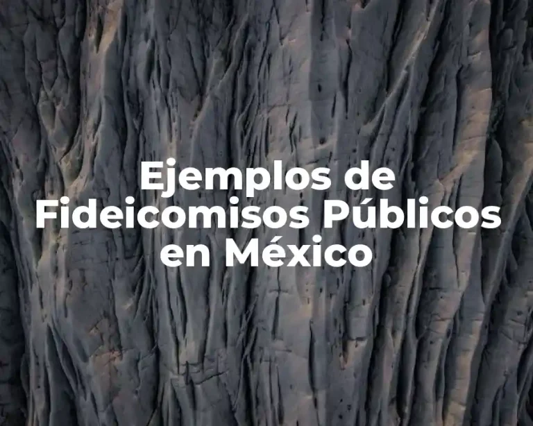 Ejemplos de Fideicomisos Públicos en México
