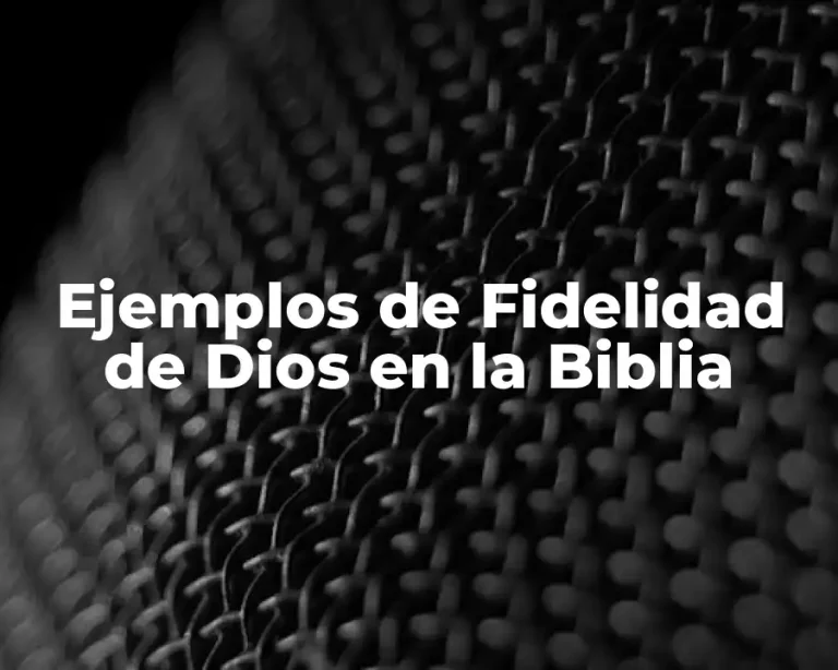 Ejemplos de Fidelidad de Dios en la Biblia