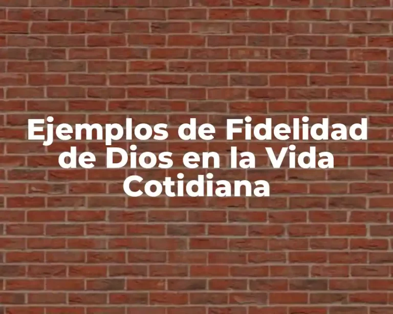 Ejemplos de Fidelidad de Dios en la Vida Cotidiana