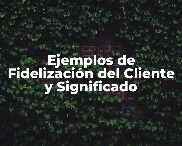 Ejemplos de Fidelización del Cliente y Significado