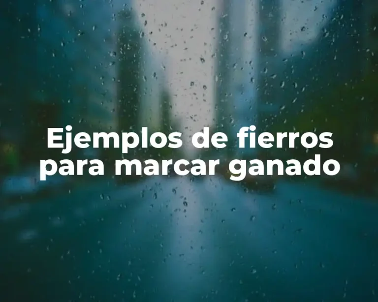 Ejemplos de fierros para marcar ganado