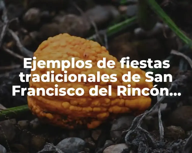 Ejemplos de fiestas tradicionales de San Francisco del Rincón Guanajuato