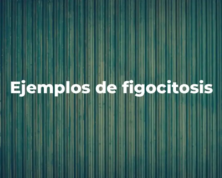Ejemplos de figocitosis
