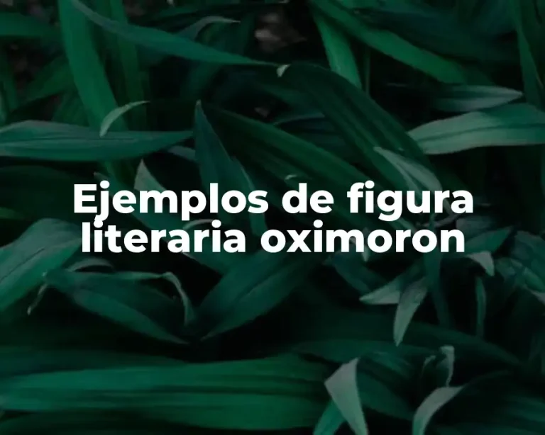 Ejemplos de figura literaria oximoron
