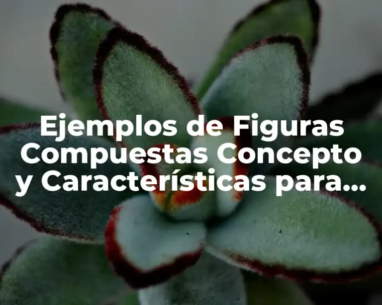 Ejemplos de Figuras Compuestas Concepto y Características para Primaria