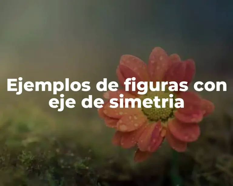 Ejemplos de figuras con eje de simetria