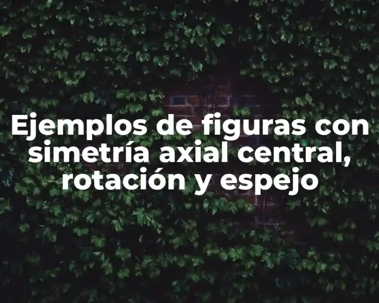 Ejemplos de figuras con simetría axial central, rotación y espejo