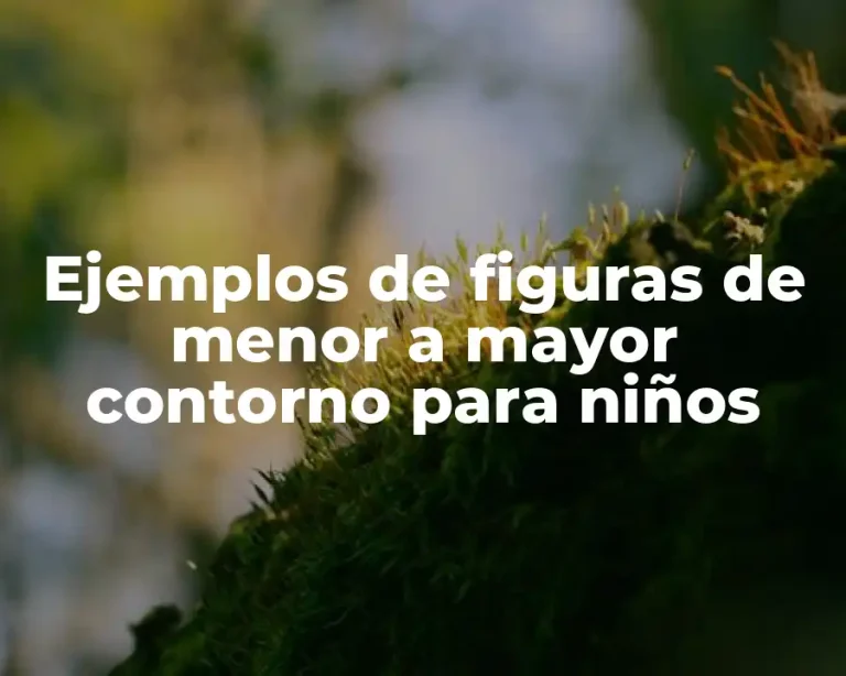 Ejemplos de figuras de menor a mayor contorno para niños