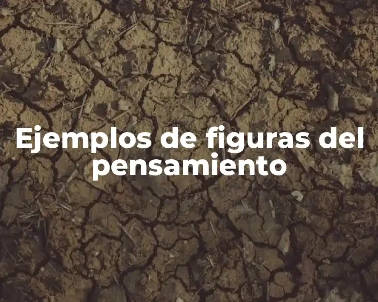 Ejemplos de figuras del pensamiento