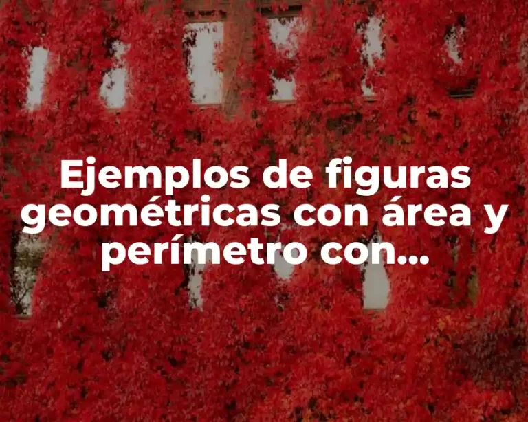 Ejemplos de figuras geométricas con área y perímetro con preguntas