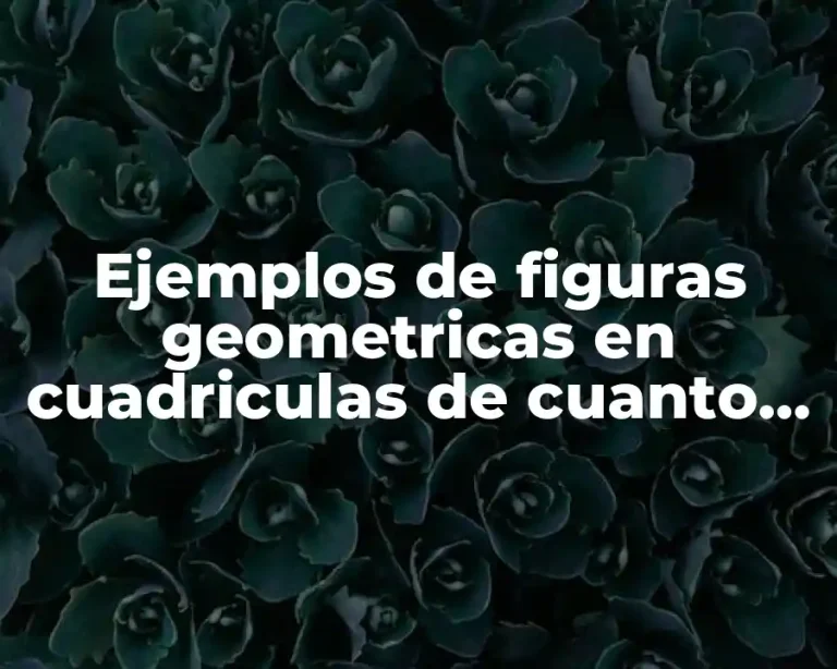 Ejemplos de figuras geometricas en cuadriculas de cuanto de primaria y Significado
