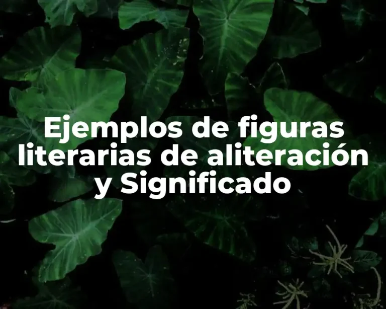 Ejemplos de figuras literarias de aliteración y Significado