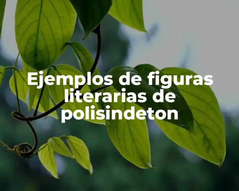 Ejemplos de figuras literarias de polisindeton
