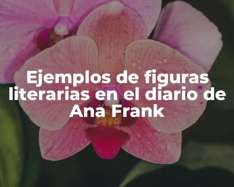 Ejemplos de figuras literarias en el diario de Ana Frank