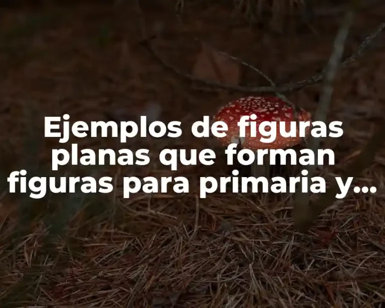 Ejemplos de figuras planas que forman figuras para primaria y Significado