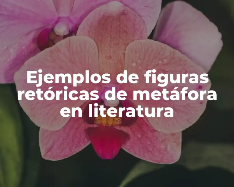 Ejemplos de figuras retóricas de metáfora en literatura